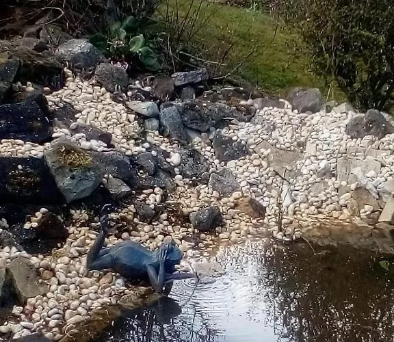 Semesterbostad Ferienhaeuser-am-eichenberg-haus-1 *